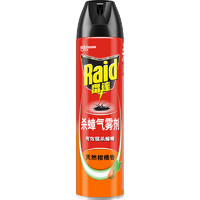 Raid 雷達(dá)蚊香 殺蟑氣霧劑 柑橘香 600ml