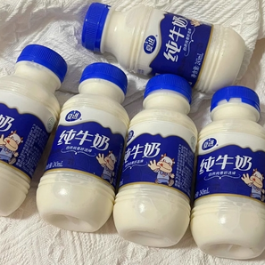 夏進(jìn) 全脂純牛奶 243mL*15瓶