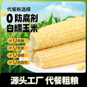 世際德力 非轉(zhuǎn)基因0添加 白糯玉米棒真空裝 8棒1600g 
