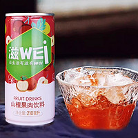 頭牌 果肉果汁飲料 210ml*8罐