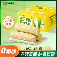 农科玉玉米新鲜甜糯玉米260g*8根