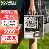 GIGABYTE 技嘉 電競(jìng)小鋼炮itx便攜辦公吃雞游戲臺(tái)式手提 黑神話悟空配置四：12400F丨16G丨1T丨4060