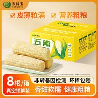 农科玉糯玉米260g*8根