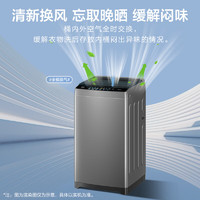 Haier海尔EB80Z33Mate1波轮洗衣机8公斤