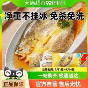 一米八深 深遠(yuǎn)海大黃魚（3.5年份） 660g