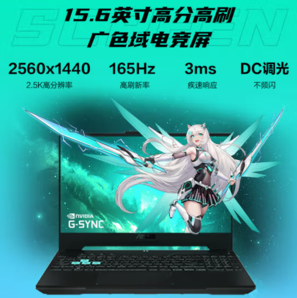 ASUS 華碩 天選5 15.6英寸游戲本（R7-8845H、16GB、512GB、RTX4060）