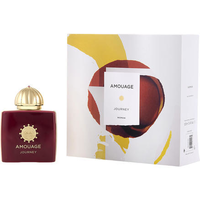 AMOUAGE爱慕旅程女士香水EDP100ml（新包装）