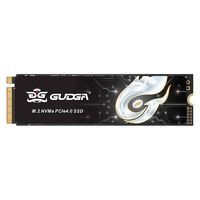 GUDGA固德佳GXF-RM.2NVMe固态硬盘512GB（PCI-E4.0）