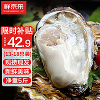 鲜京采生蚝5斤3XL13-18只装源头直发露营烧烤
