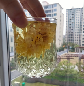 一朵一杯！徽春堂 金絲皇菊 20g 約50朵