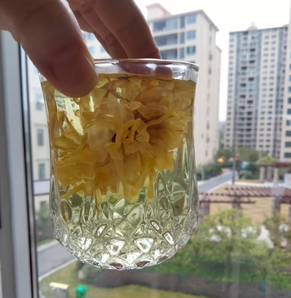 一朵一杯！徽春堂 金絲皇菊 25g 約50~60朵