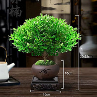 恰意小叶赤楠盆景老桩盆栽植物办公室室内花卉桌面四季常青好养绿植