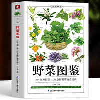 《野菜图鉴：250种野菜与20余种野果速查速认》
