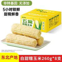农科玉白甜糯玉米260g*8根