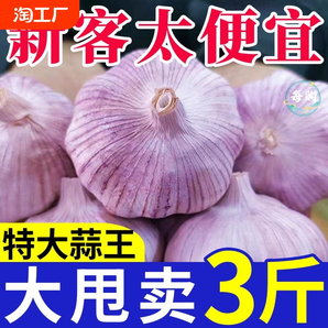 首單直降大蒜頭批發(fā)干蒜紫皮特大新鮮大蒜包郵精選飽滿