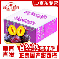 華味仙 新疆西梅 李子 2.7斤特大果 單果30-40g