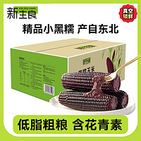 新主良小黑糯玉米棒1.2公斤