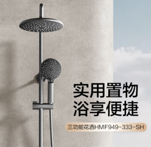 HEGII 恒潔 HMF948-333 S10C 花灑套裝 噴槍+銅合金主體