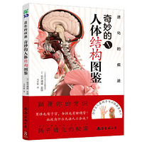《进化的痕迹·奇妙的人体结构图鉴》