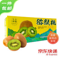 京觅陕西翠香猕猴桃24粒单果90-110g应季新鲜水果源头直发