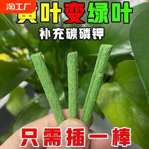 植物營(yíng)養(yǎng)棒緩釋肥料盆栽花卉家用懶人養(yǎng)花通用型營(yíng)養(yǎng)液片綠植土壤