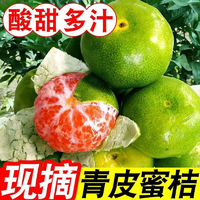湖北宜昌蜜桔无籽橘子高山青皮酸桔子5分酸应季时令水果孕妇生鲜净重4.5斤（单果55-65mm）