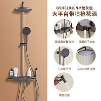 YINGBathroomProducts鹰卫浴61010NM增压大置物台花洒套装
