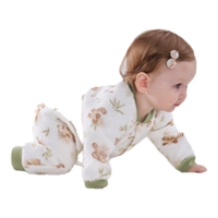 欧孕新生婴儿衣服宝宝连体衣长袖秋装纯棉睡衣哈衣秋季套装春季浣熊乐园-空气层薄夹棉73码