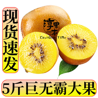 淳果一木黄心猕猴桃金果奇异果猕猴桃新鲜水果生鲜水果5斤巨无霸大果单果100克起