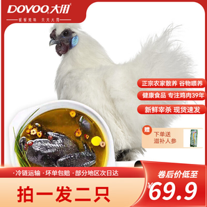 大用（DOYOO） 烏雞950g/只燉雞湯土雞月子雞 十全烏骨雞 農(nóng)家散養(yǎng)土雞