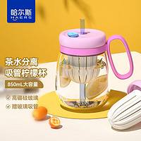 HAERS 哈爾斯 玻璃杯女士泡茶杯大肚吸管杯學生辦公茶水杯子 粉色850ml