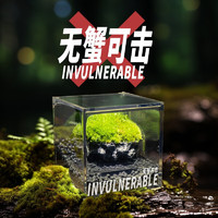 丘辰 無蟹可擊苔蘚微景觀生態(tài)瓶辦公室內(nèi)桌面小盆栽綠植螃蟹缸 無蟹可擊（螃蟹缸）