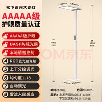 Panasonic 松下 適閱大路燈立式全光譜學(xué)習(xí)護(hù)眼燈 100W