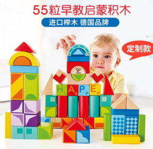 Hape 木質(zhì)大顆粒積木 55粒