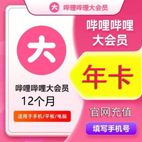 bilibili 嗶哩嗶哩 大會(huì)員一年