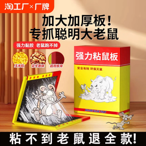 粘鼠板強(qiáng)力膠粘大老鼠家用室內(nèi)老鼠貼一窩端超粘捕捉神器2024新款