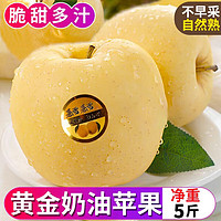 超好吃 黃金奶油富士蘋(píng)果 2.5斤裝 特大果約80MM+
