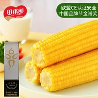 田本部 國企農(nóng)投2024頭茬黃糯玉米250g/根