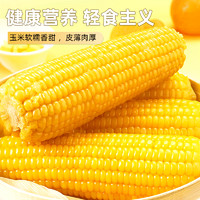 現(xiàn)摘東北黃糯玉米 200g*10根