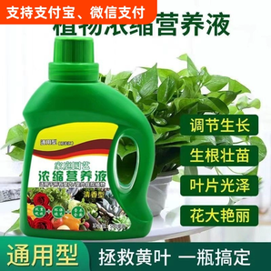 超濃縮植物營(yíng)養(yǎng)液花肥通用化肥料家用綠植盆栽葉黃富貴竹通用型