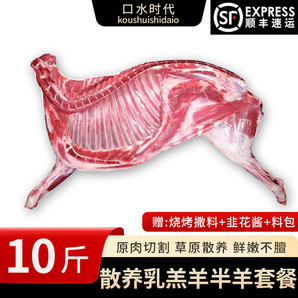 口水時代內(nèi)蒙半只羊 原切新鮮羊肉 現(xiàn)殺羊腿羊排羊蝎子火鍋食材 分割發(fā)貨 【10斤】半只羊套餐