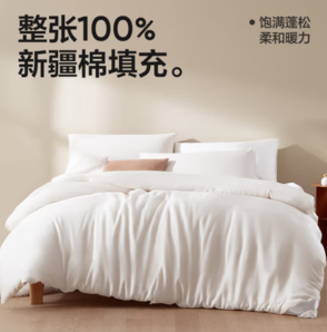 YANXUAN 網(wǎng)易嚴選 100%新疆棉花被 秋冬被 220*240cm
