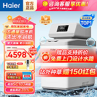 Haier 海爾 中央軟水機(jī) 全屋凈水軟水系統(tǒng)套裝軟化機(jī)全自動(dòng)除垢 HZR12-0914DU1-1.2T智美軟水機(jī)