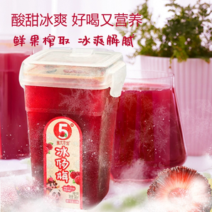 蚩尤世家 冰鎮(zhèn)楊梅汁 368g×6瓶