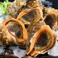 SOXW 海螺  鮮活發(fā)貨  一斤7-9個(gè)