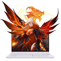 機械革命 翼龍15 Pro 15.3英寸游戲本（R7-8845H、32GB、1TB、RTX 4070 8G）