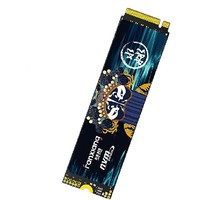 FANXIANG 梵想 S690MQ M.2 NVMe 固態(tài)硬盤 2TB PCIe4.0