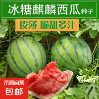 冰糖麒麟西瓜種子1包約50粒