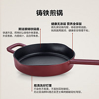 Fissler 菲仕樂(lè) Moments食光系列 鑄鐵煎鍋 24cm 勃艮第紅