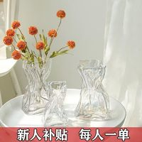 花瓶ins風(fēng)玻璃透明水養(yǎng)客廳插花桌面電視柜擺件